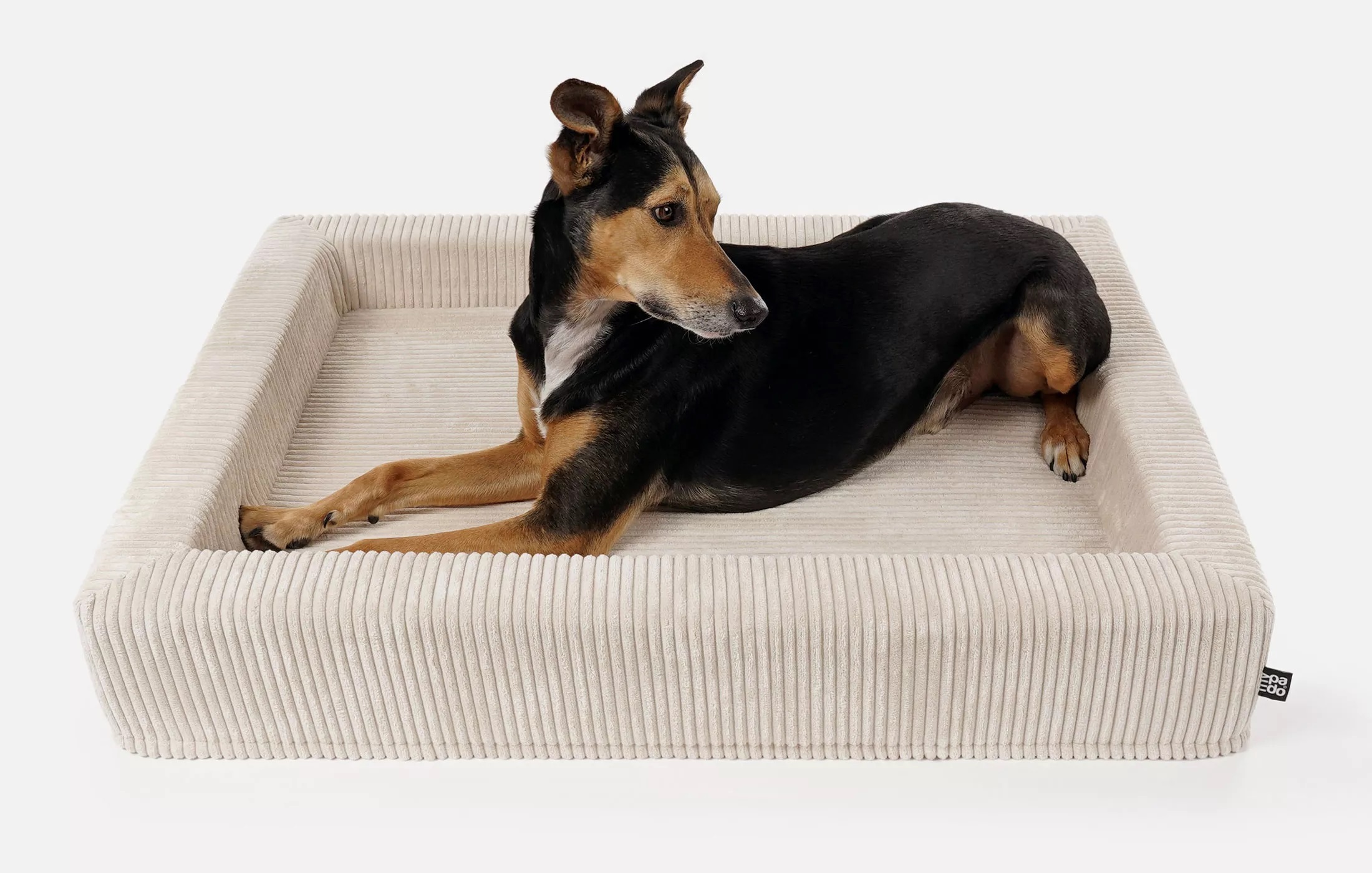 mypado Harko Cord Hundebett ist in drei Größen und orthopädischer Liegefläche lieferbar